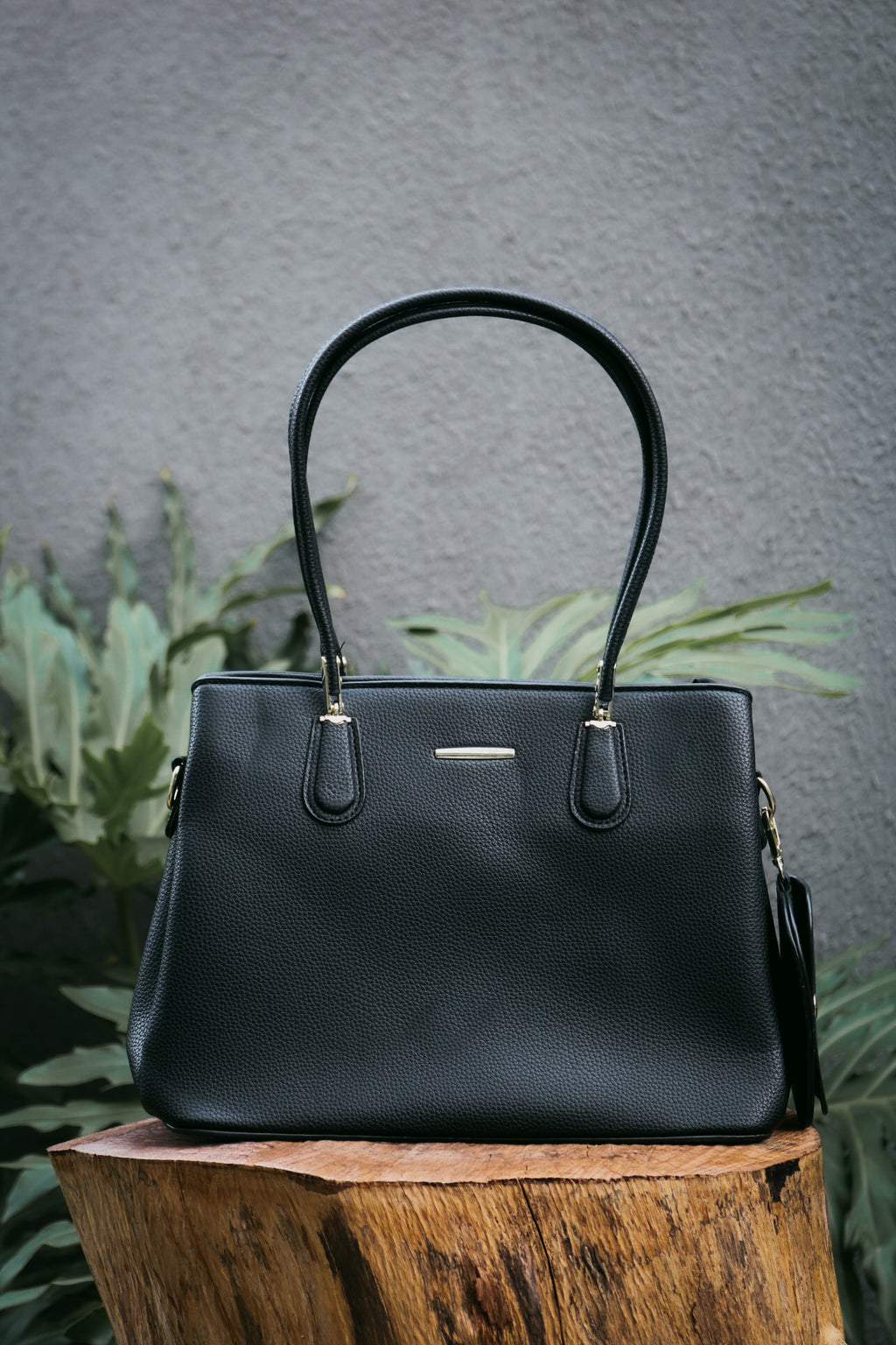Bolsa Ana